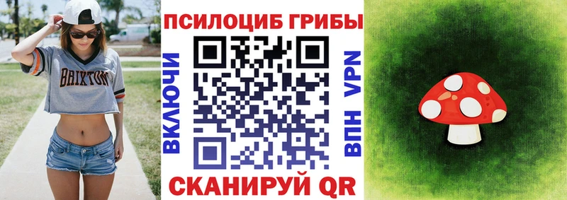 Галлюциногенные грибы Psilocybine cubensis  Мичуринск 